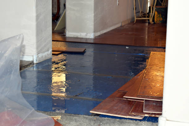 Professional Sewage Cleanup technician working in Houston, MO